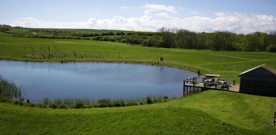 The Bay, Filey, Moonshine Cottage Екстериор снимка